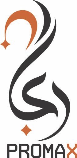 Promax Logo 3